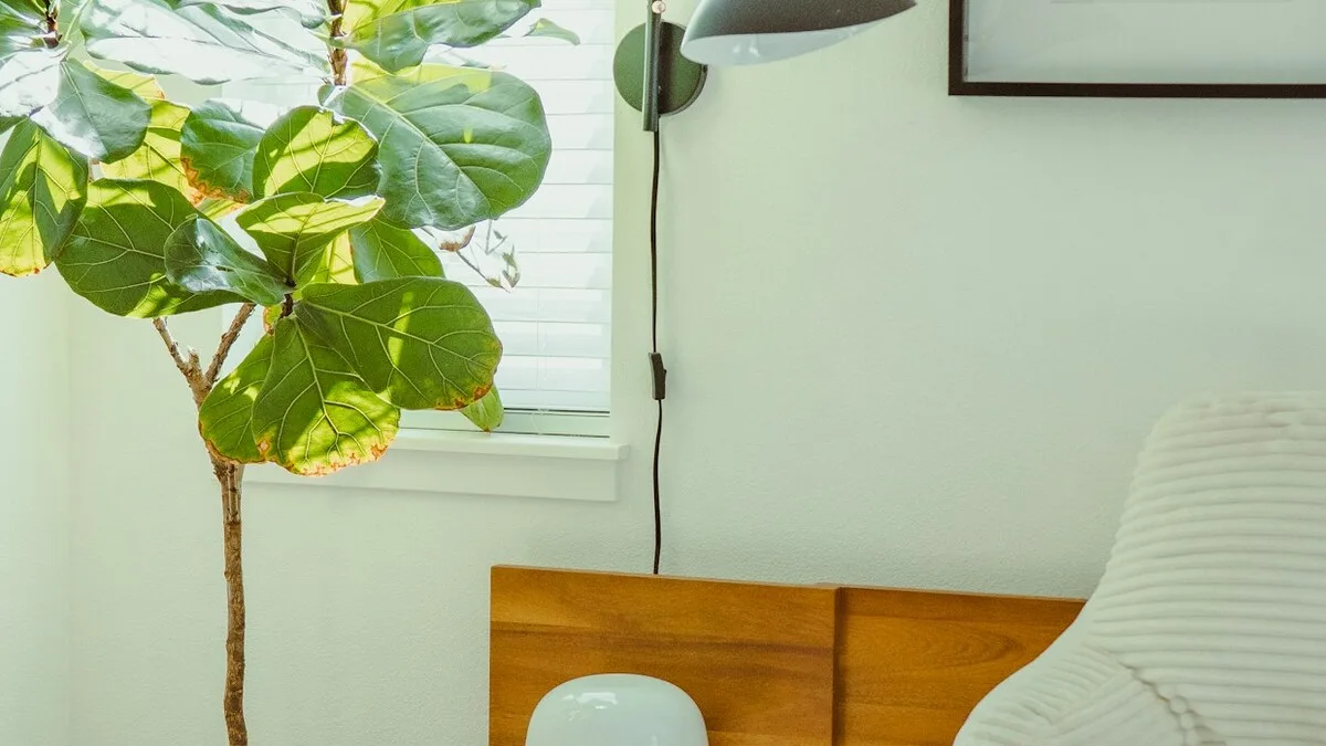 Chambre lumineuse et saine, l'objectif d'un traitement contre les punaises de lit
