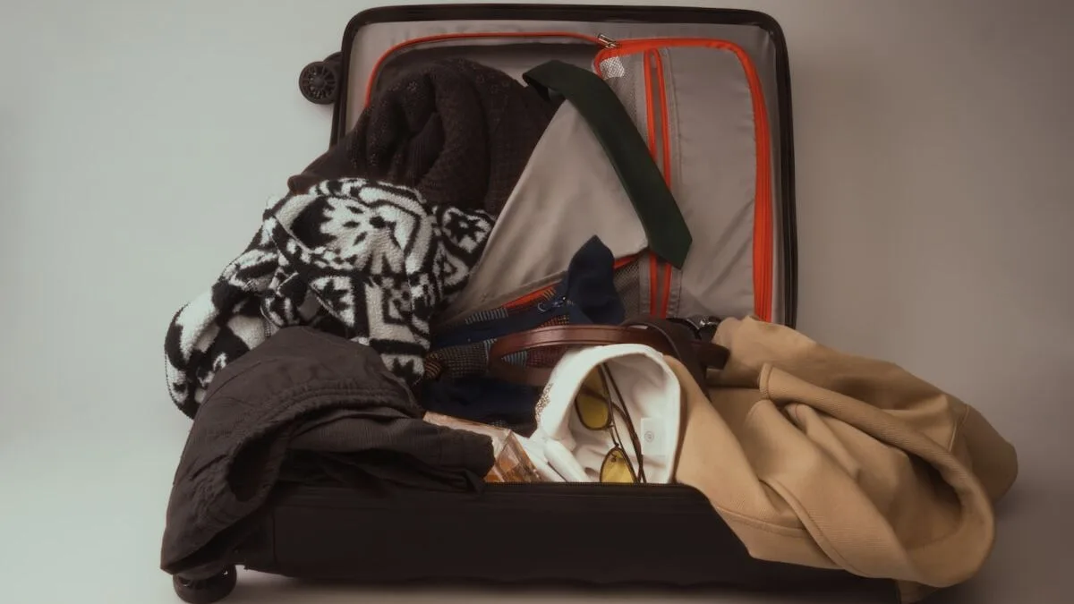 Punaises de lit au retour des vacances : les 5 vérifications avant de défaire sa valise